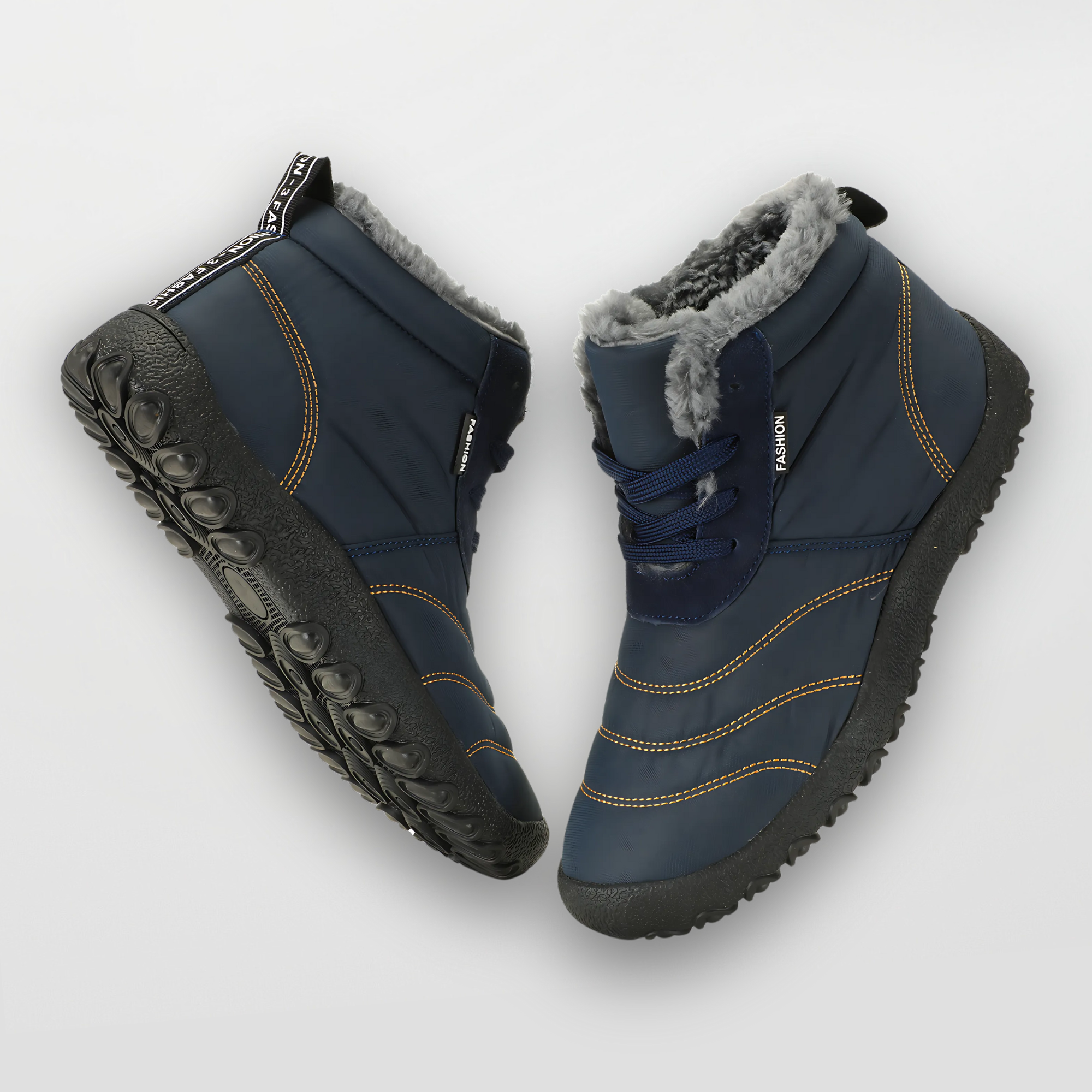 Winter Pro 2.0